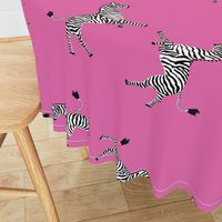 Zebra_high5_pink