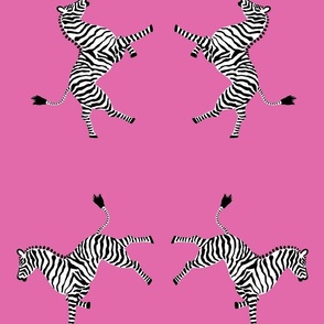 Zebra_high5_pink