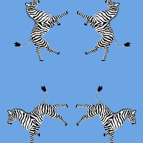 zebra_hi5_lt_blue
