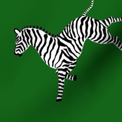 Zebra_hi5_green