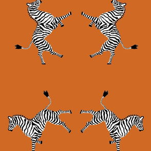 Zebra_high 5_orange
