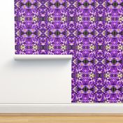 Purple Crocuses_2196