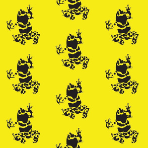 Dart_frog_-_yellow