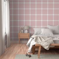 Large Scale Light Pink & White Simple Check for Baby Girls Nursery Walls