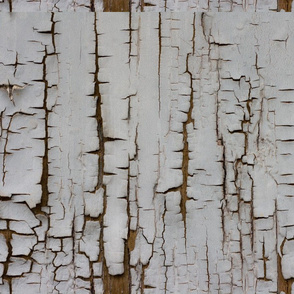 Birch