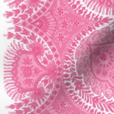 The Paisley Sublime ~ Anna Pink Border Print