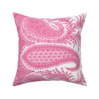 The Paisley Sublime ~ Anna Pink Border Print