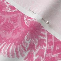 The Paisley Sublime ~ Anna Pink Border Print