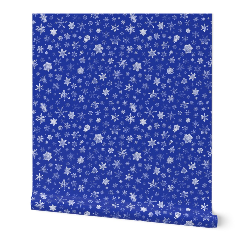 photographic snowflakes on morning blue