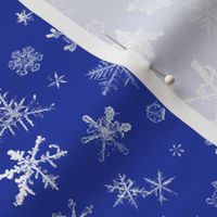 photographic snowflakes on morning blue