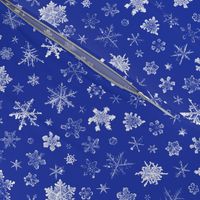 photographic snowflakes on morning blue