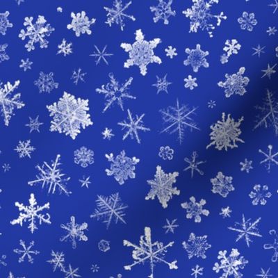 photographic snowflakes on morning blue