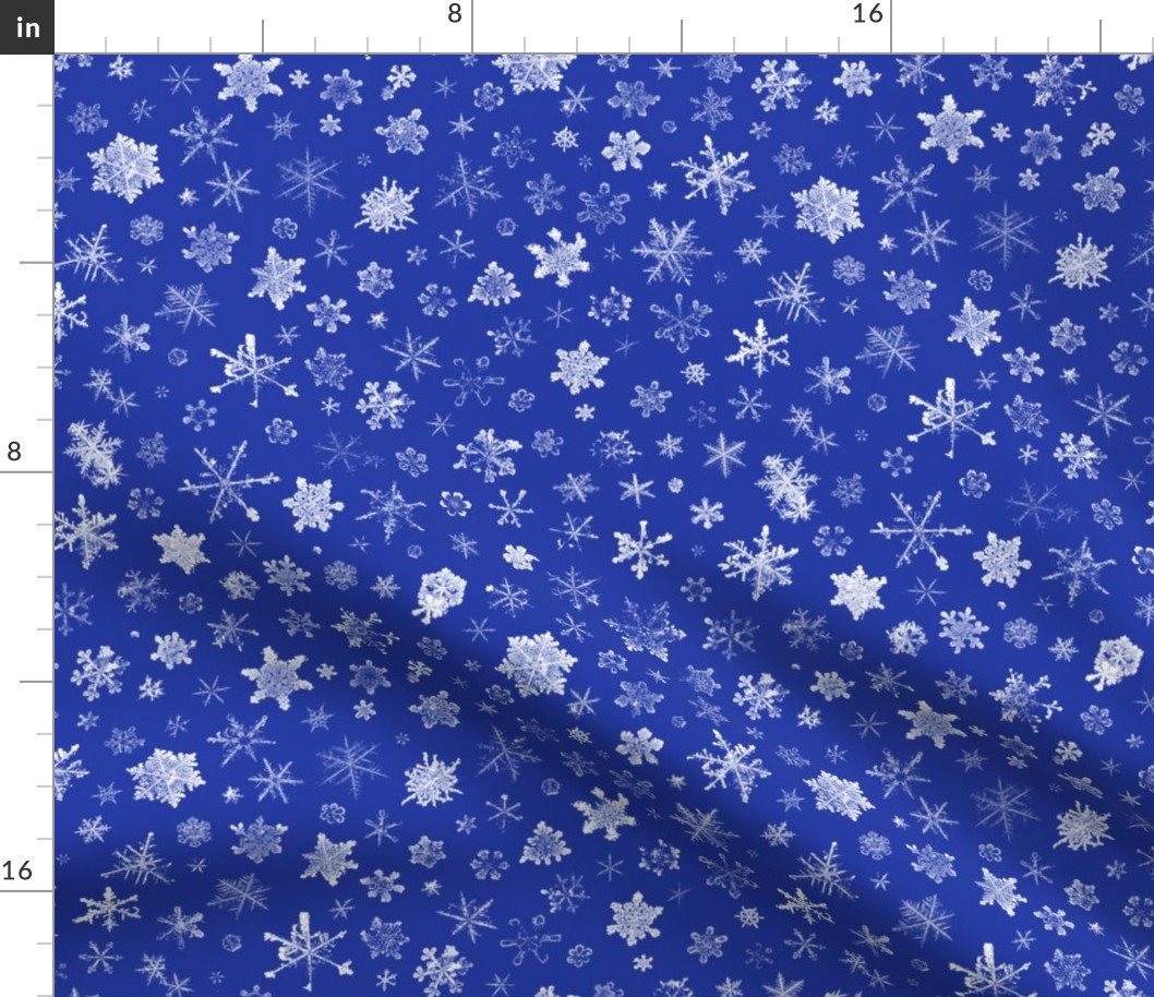 photographic snowflakes on morning blue