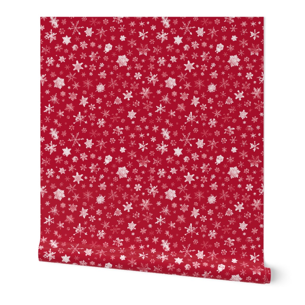 photographic snowflakes on crimson (large snowflakes)