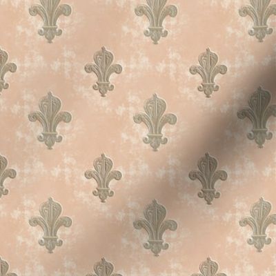 Antique Majestic Ornamental Fleur De Lis Grunge Damask Revival Peach