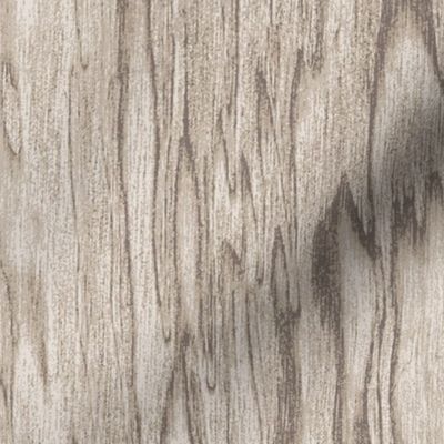 Wood Grain Texture Birch Taupe