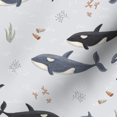 killer whale Families Prusian blue