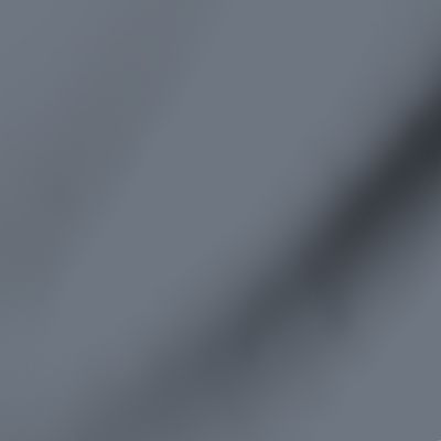 storm gray #6e7681