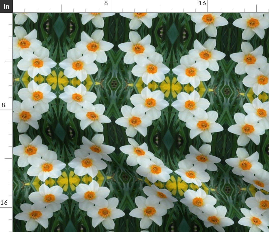 crop_1g_daffodils