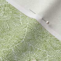 petoskey-stone pattern, moss green on white