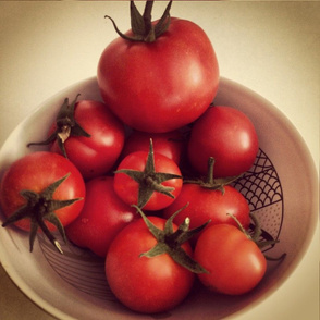 Tomatoes in a bowl instagram