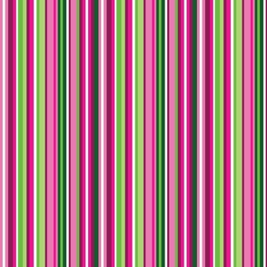 Narrow Pink and Green Watermelon stripes