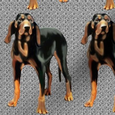 BLACK AND TAN COONHOUND