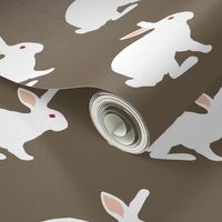 White Rabbit on Brunneous
