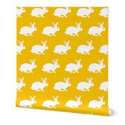 White Rabbit on Goldenrod