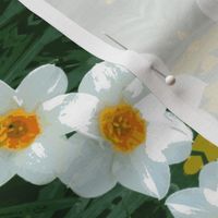 Daffodil Garland D-12