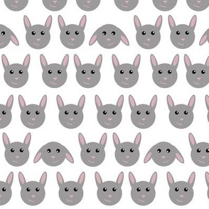 Geometric bunnies