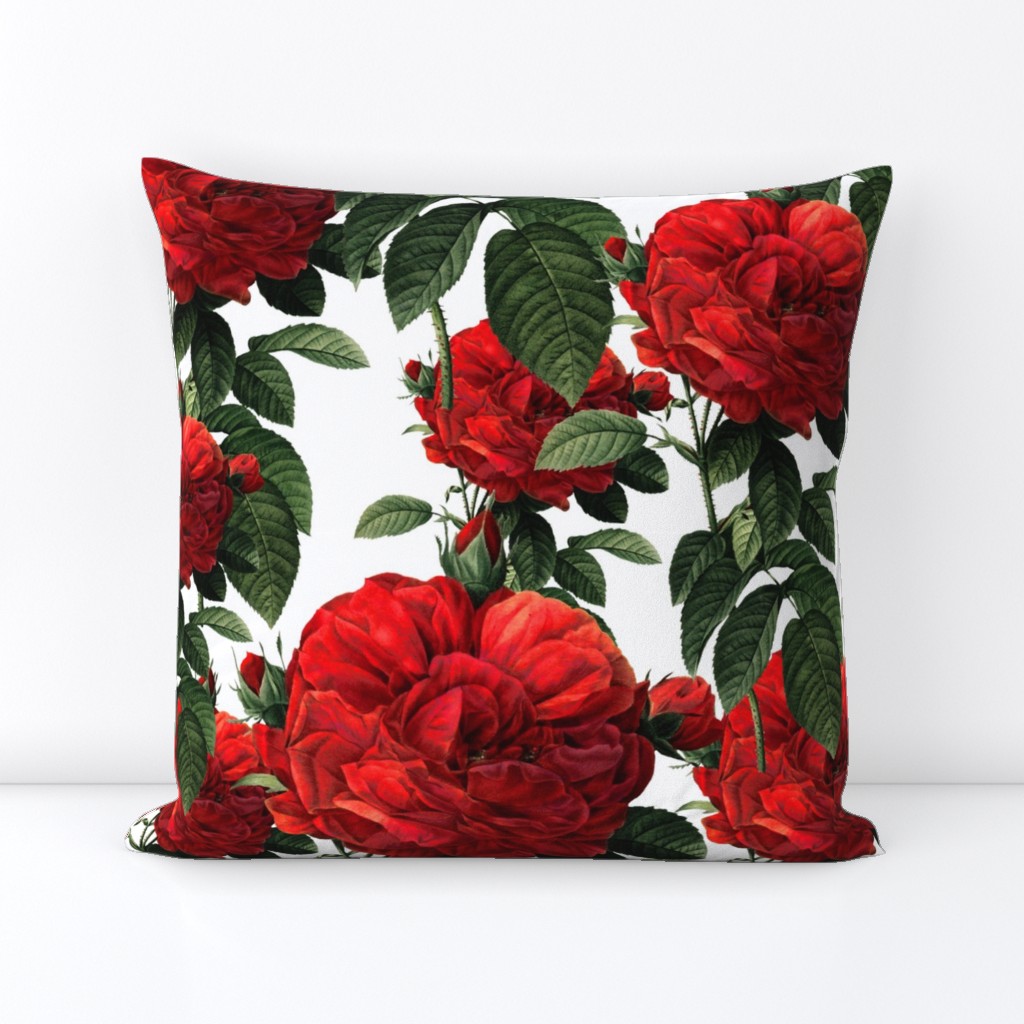  Redoute' Roses ~ Riot of Red 