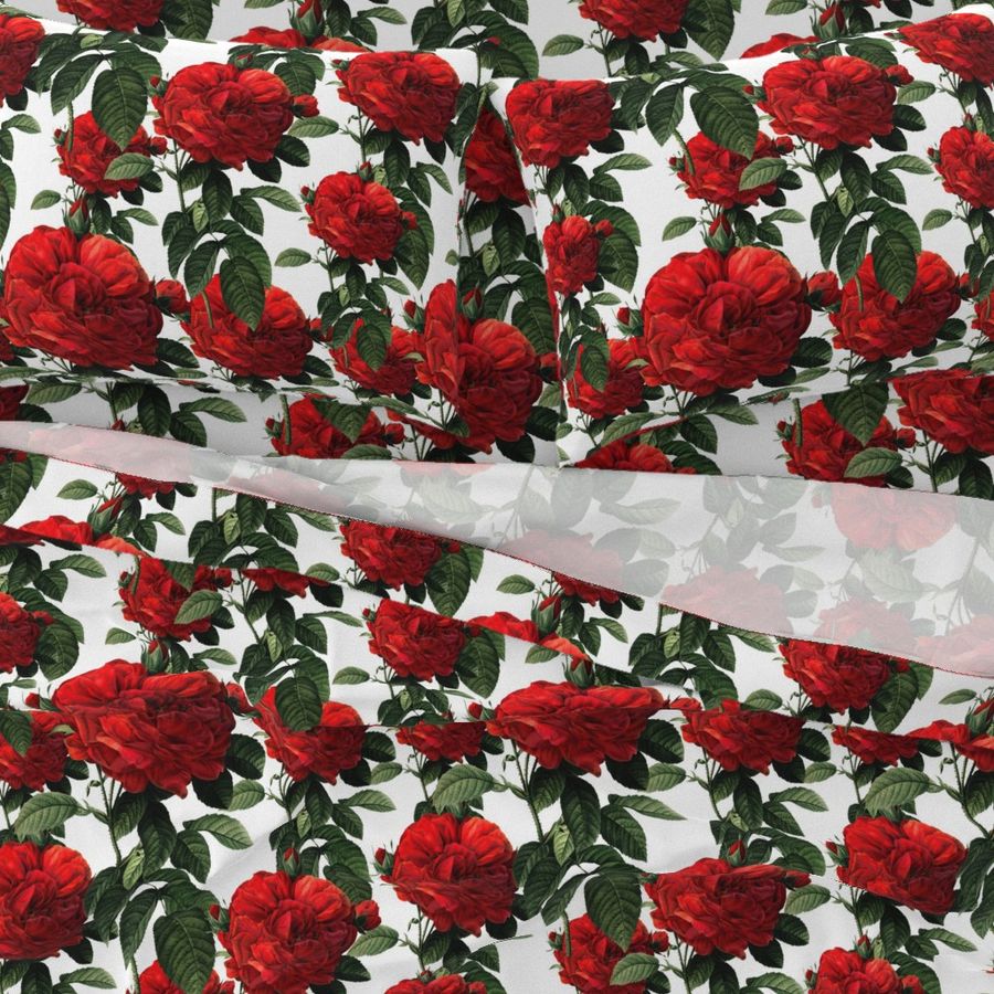  Redoute' Roses ~ Riot of Red 