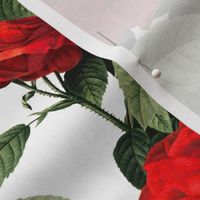  Redoute' Roses ~ Riot of Red 