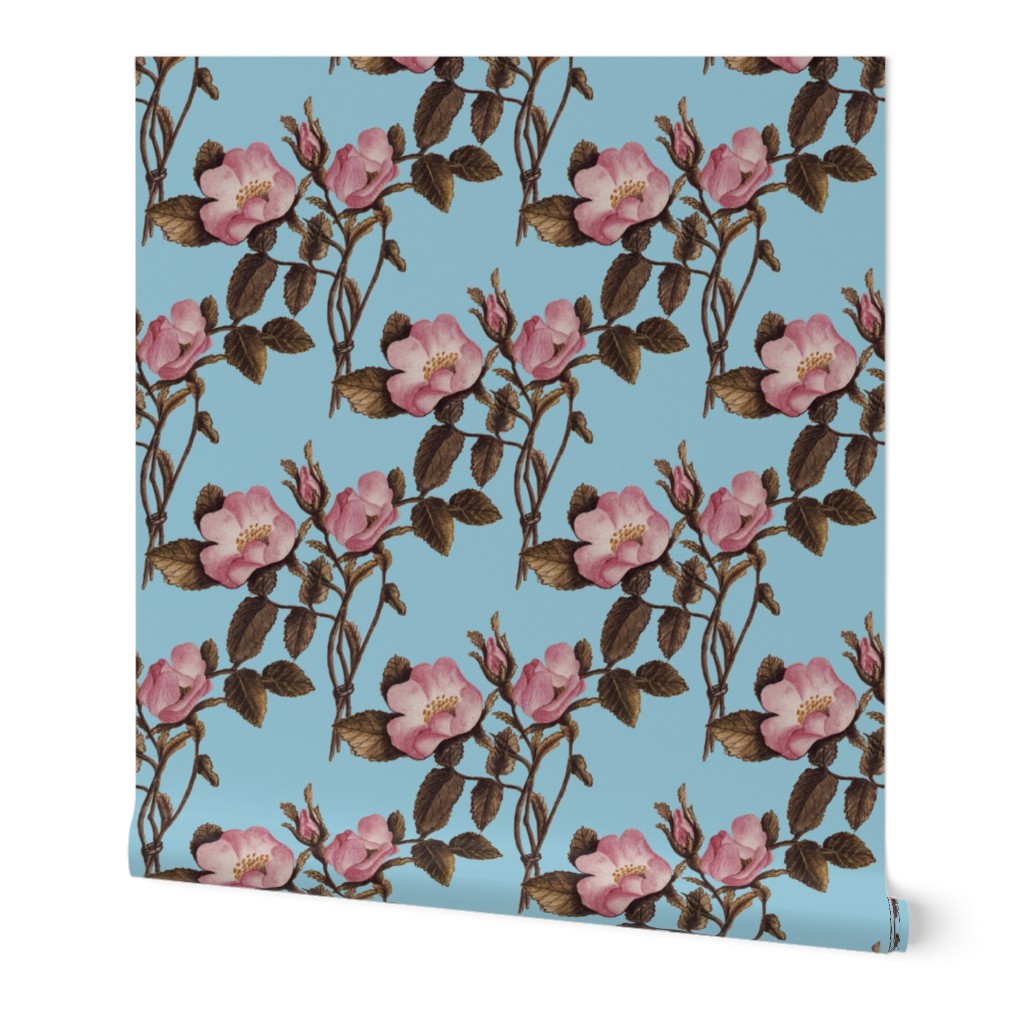 Charlotte Bronte's Wild Roses on Blue