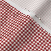 funny_bunny_gingham_red