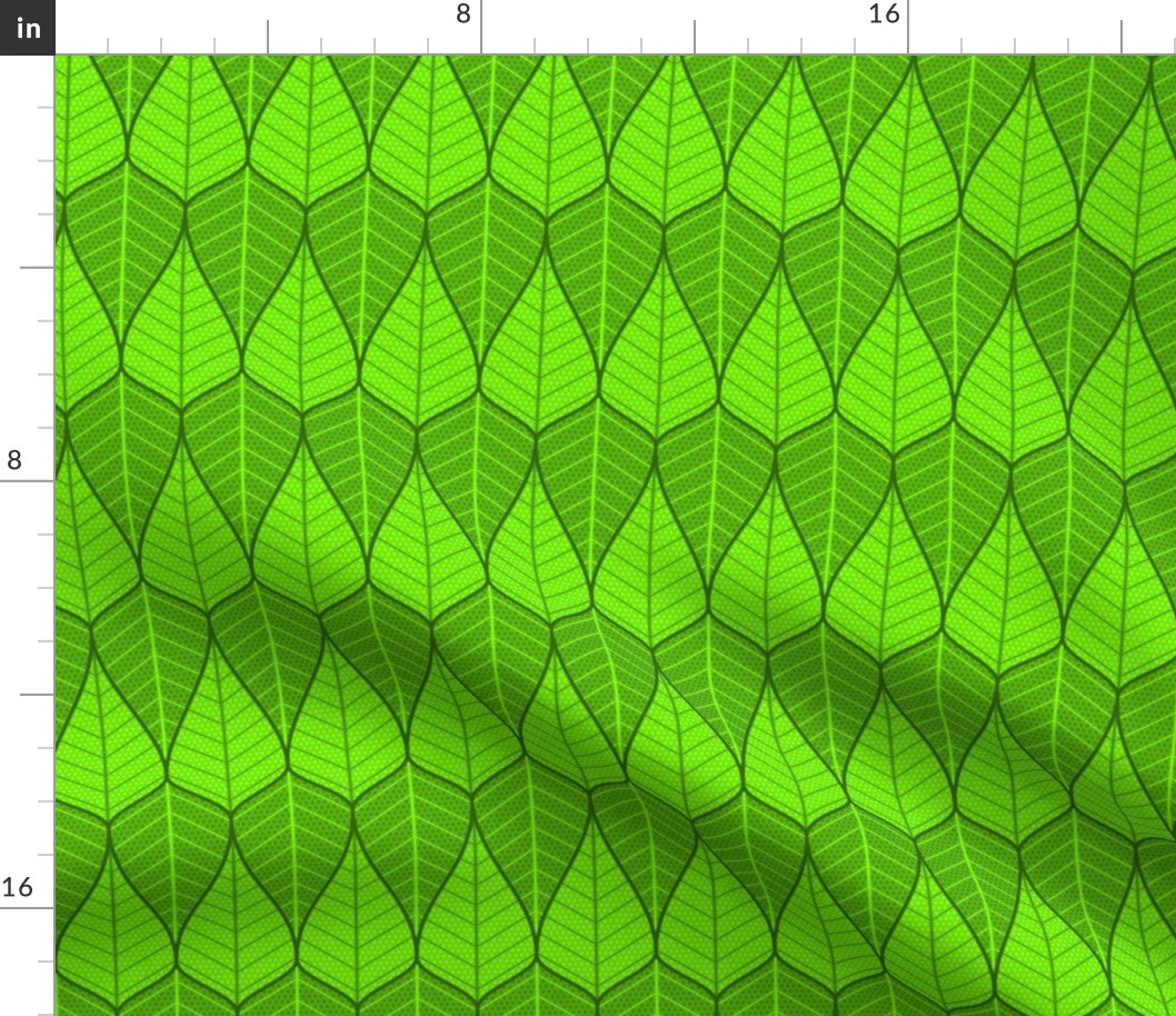 01870043 : asymmetric sine leaf pair