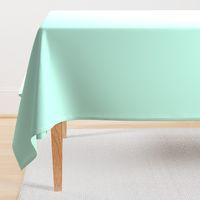 pale turquoise // mint pale turquoise solid aqua blue fabric