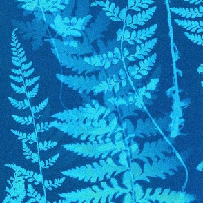 Ferns in Blue Cyanotype