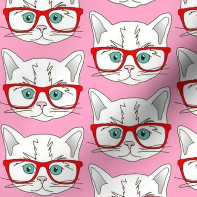 Kitten Hipster Pink