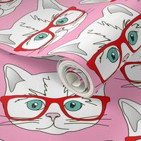 Kitten Hipster Pink