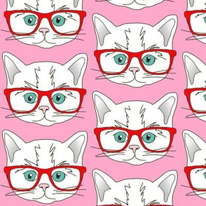 Kitten Hipster Pink