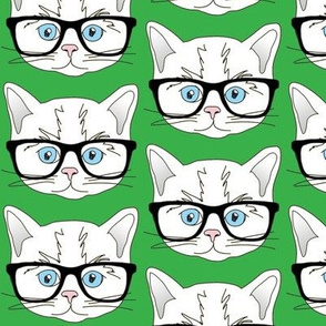 Kitten Hipster Green