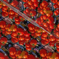 Tomatoes on Tiles