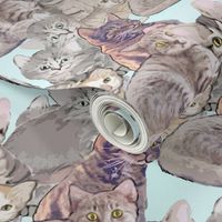 Cats and Kittens fabric mural