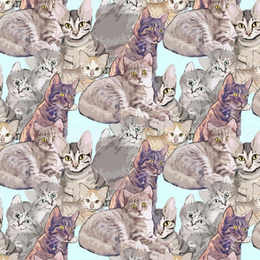 Cats and Kittens fabric mural