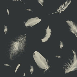 feathers