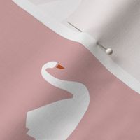 swan pink