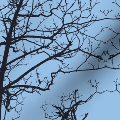 Tree Buds Against Blue Sky