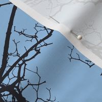 Tree Buds Against Blue Sky